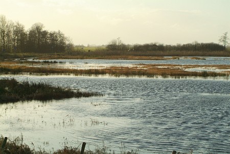 Oudega (Smallingerland)