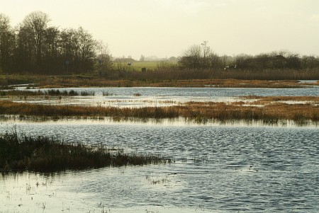 Oudega (Smallingerland)