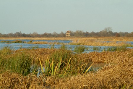 Oudega (Smallingerland)