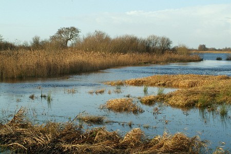 Oudega (Smallingerland)