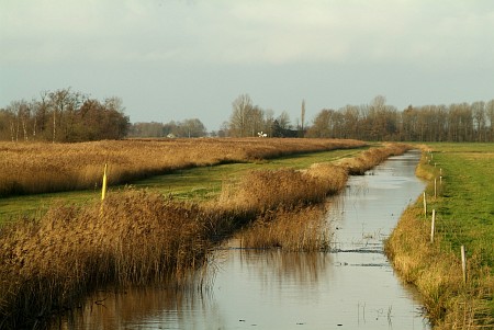 Oudega (Smallingerland)