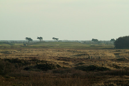 Foto zonder naam