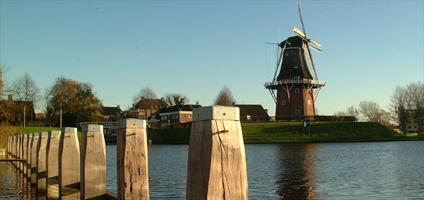 Dokkum