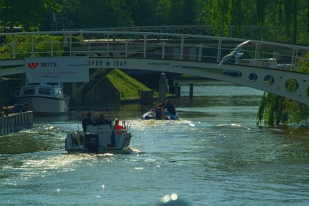 Dokkum