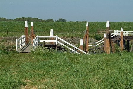 Foto zonder naam