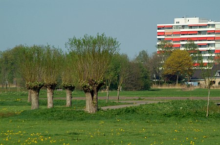 Heerenveen