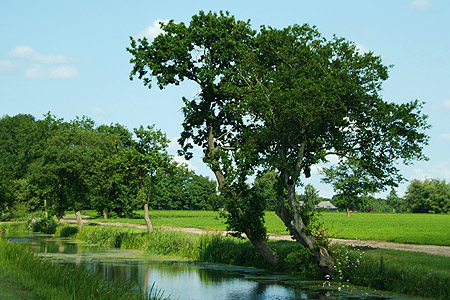 Hoornsterzwaag