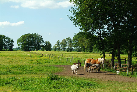 Hoornsterzwaag