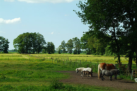 Hoornsterzwaag