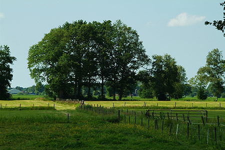 Hoornsterzwaag