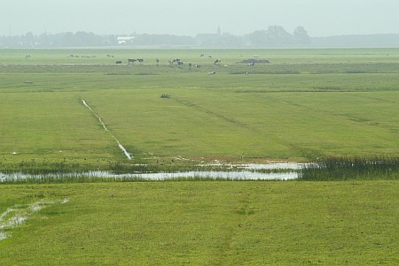 Foto zonder naam