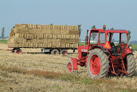 Oude Leije