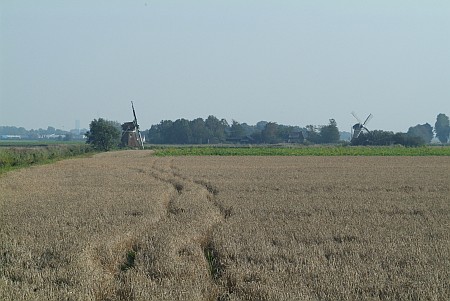 Oude Leije