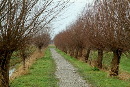 Oudega (Smallingerland)