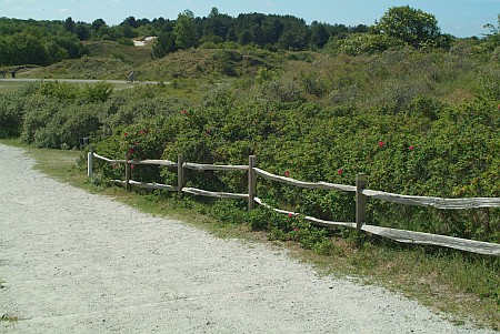 Schiermonnikoog