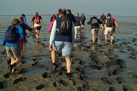 Foto zonder naam