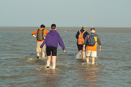 Foto zonder naam