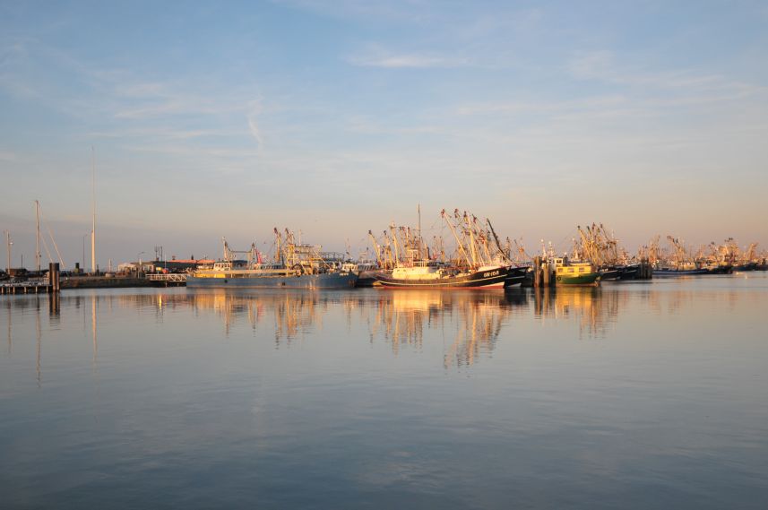 Visserijhaven Lauwersoog in avondlicht 4