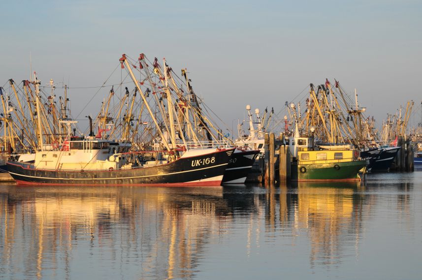 Visserijhaven Lauwersoog in avondlicht 1