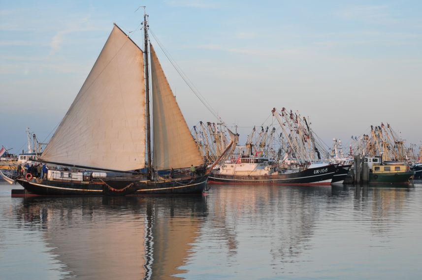 Aankomst in haven Lauwersoog in avondlicht 3