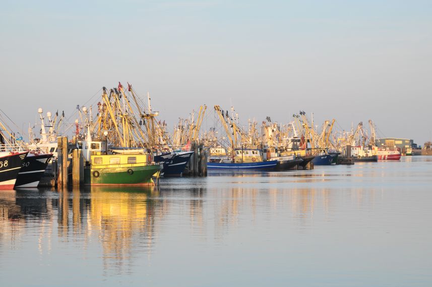 Visserijhaven Lauwersoog in avondlicht 2