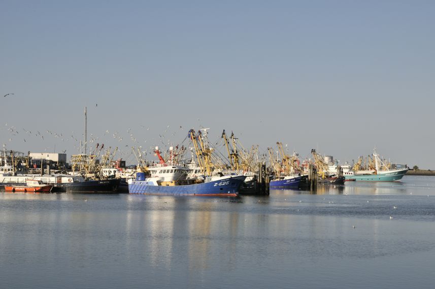 Haven van Lauwersoog