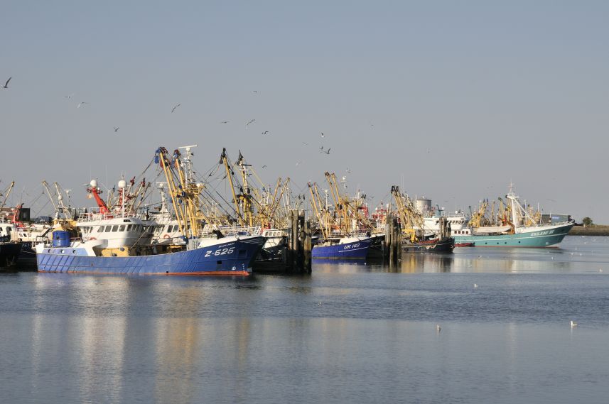 Haven van Lauwersoog