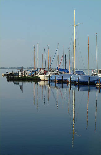 Foto zonder naam