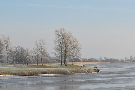 Winters landschap bij het Tjeukemeer