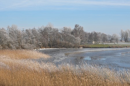 Winters landschap bij het Tjeukemeer