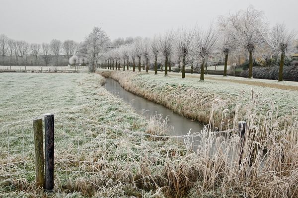 Dronryp in de winter