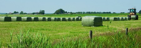 Foto zonder naam