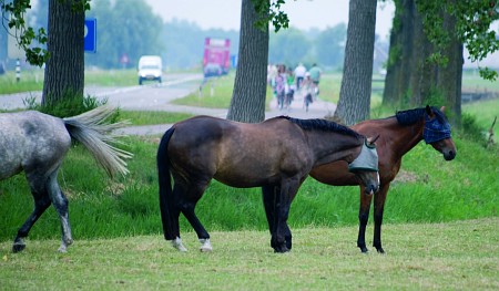 Foto zonder naam