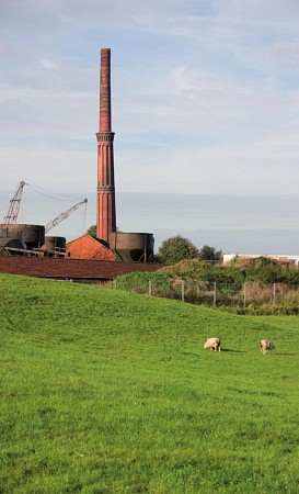 Foto zonder naam