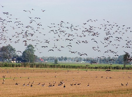 Foto zonder naam