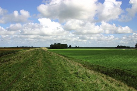 Foto zonder naam