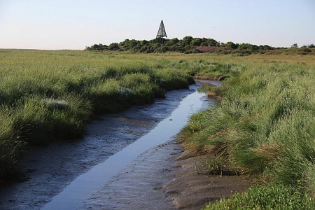 Foto zonder naam