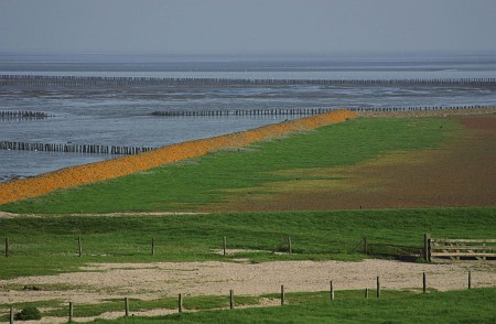 Foto zonder naam