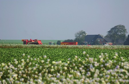 Foto zonder naam