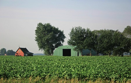 Foto zonder naam