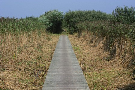 Foto zonder naam