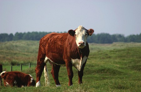 Foto zonder naam