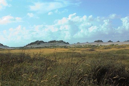 Foto zonder naam