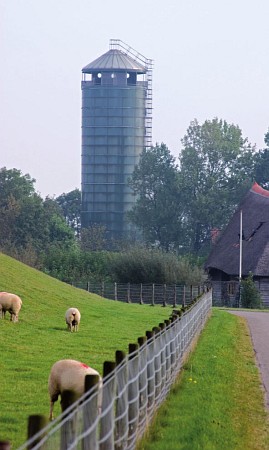 Foto zonder naam