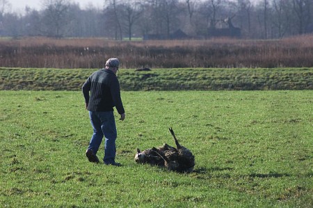 Foto zonder naam