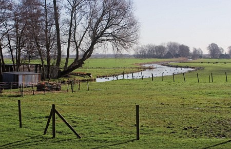 Foto zonder naam