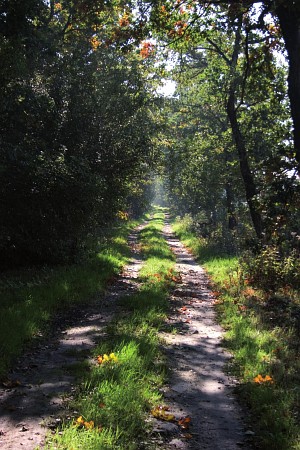 Foto zonder naam