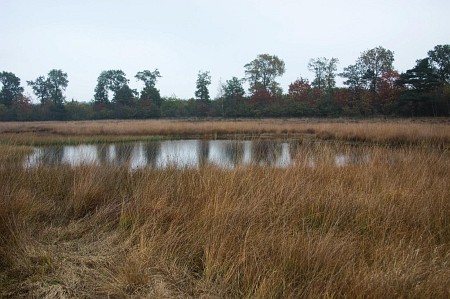 Foto zonder naam