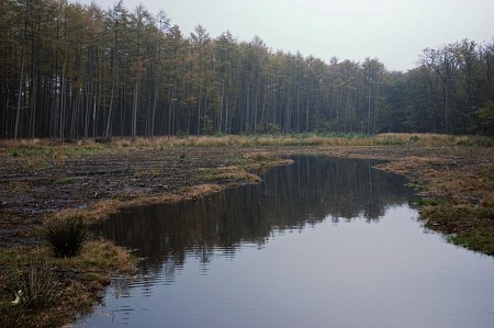 Foto zonder naam