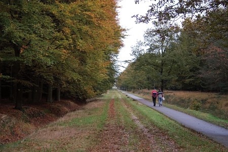 Foto zonder naam